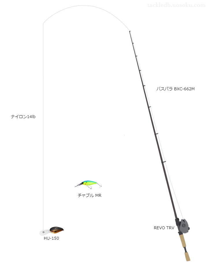 バス釣りに関するタックル、仕掛け図解