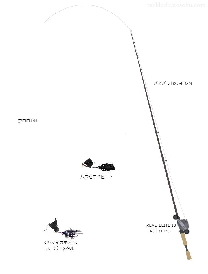 バス釣りに関するタックル、仕掛け図解