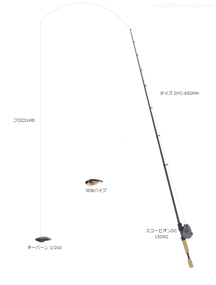 バス釣りに関するタックル、仕掛け図解