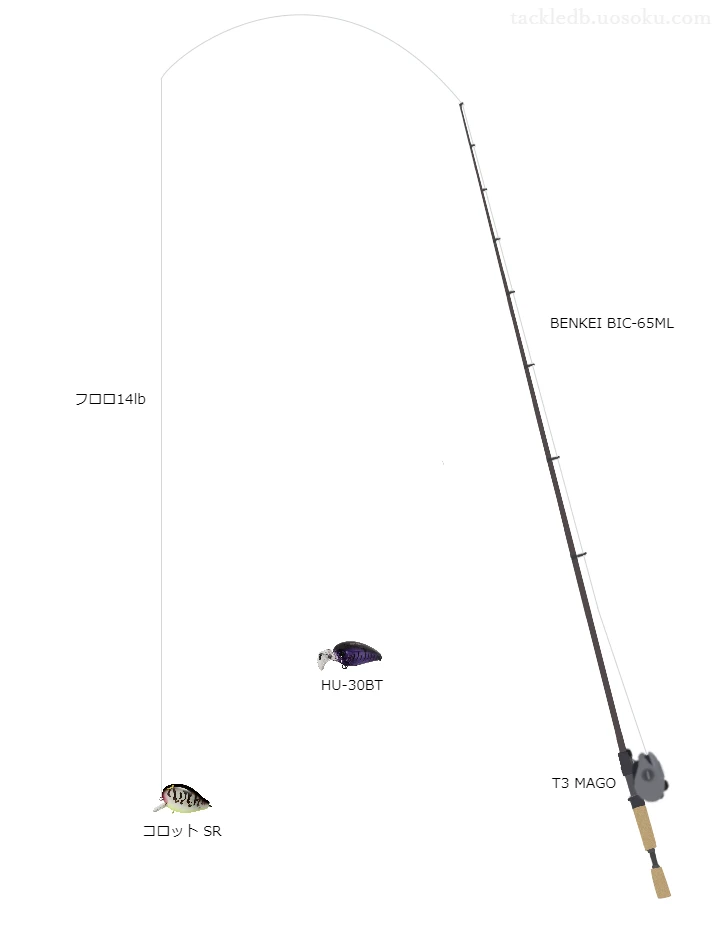 バス釣りに関するタックル、仕掛け図解