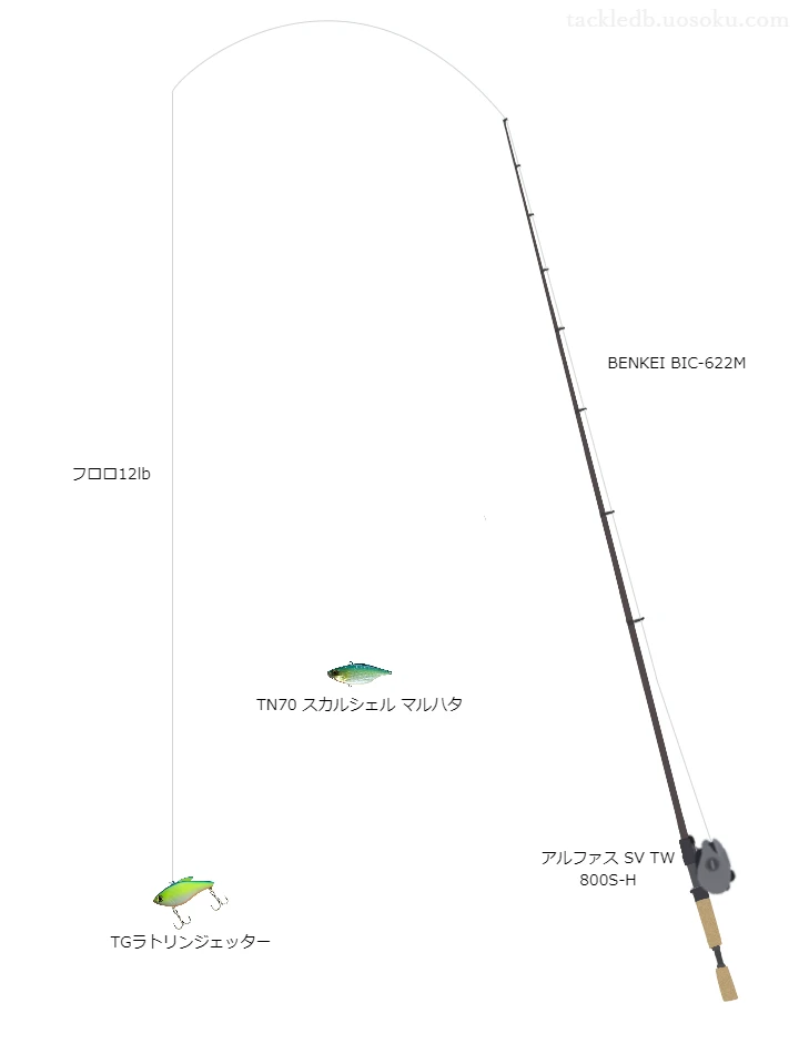 バス釣りに関するタックル、仕掛け図解