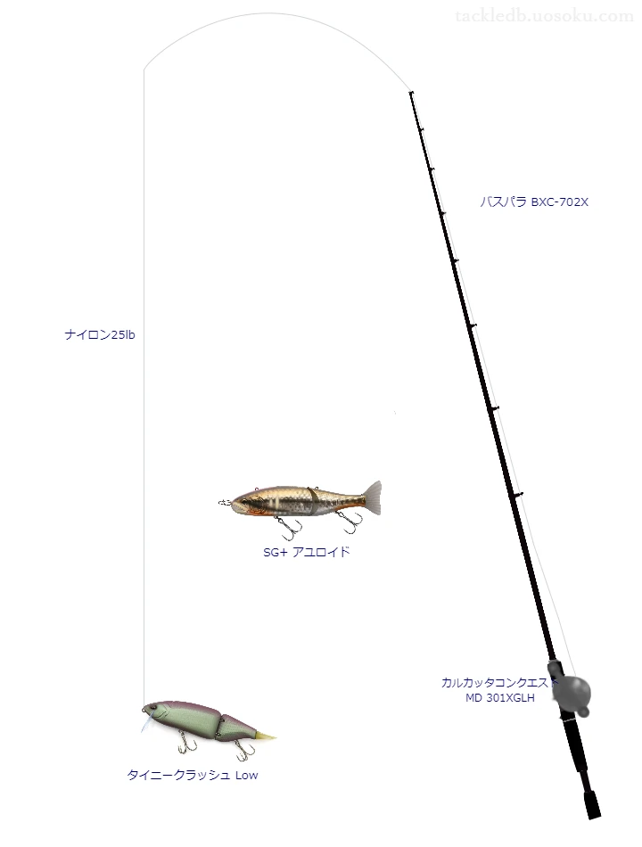 バス釣りに関するタックル、仕掛け図解