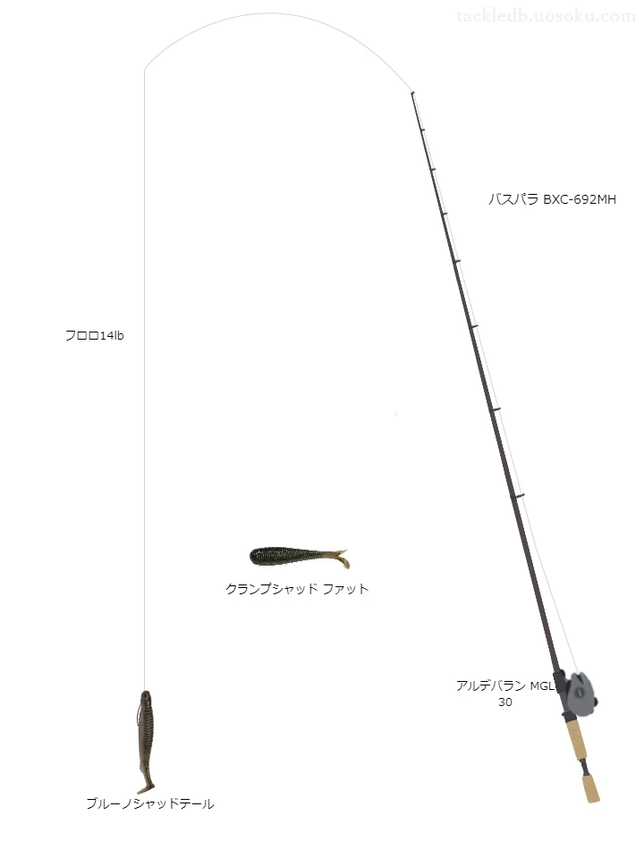 バス釣りに関するタックル、仕掛け図解