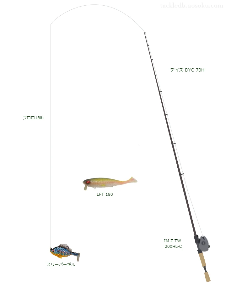 デイズ DYC-70HとIM Z TW 200HL-Cの調和によるバス釣りタックル【仮想インプレ】