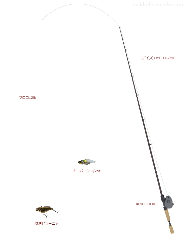 バス釣りに関するタックル、仕掛け図解