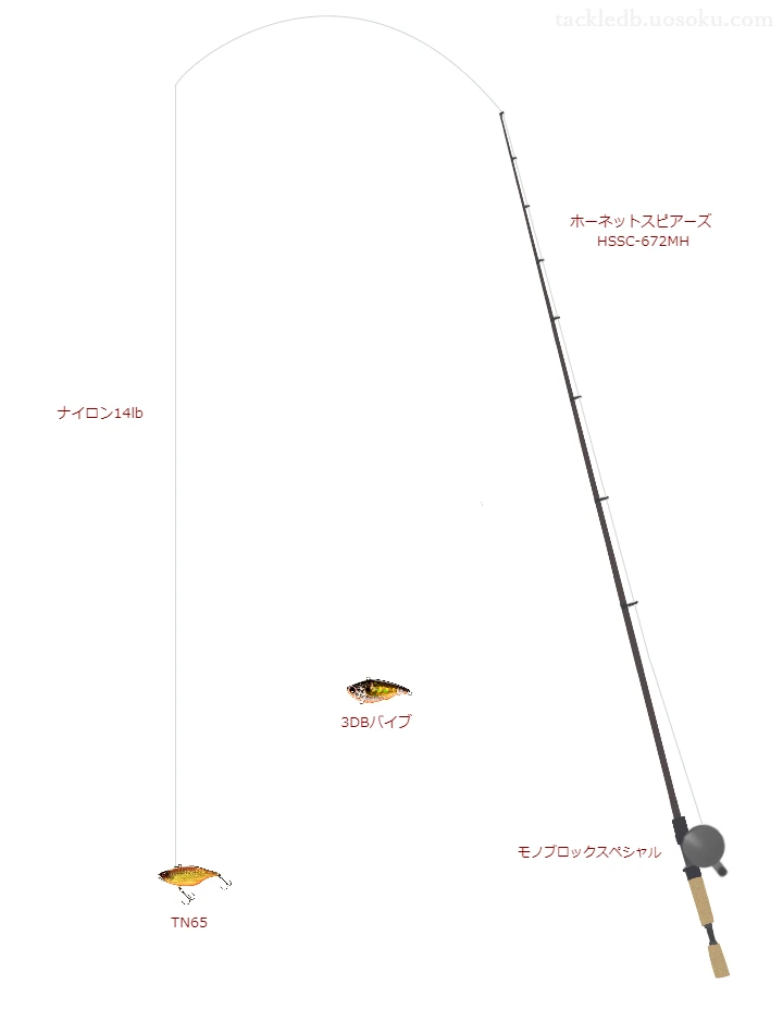 ロッドはアブガルシア,リールはメガバスでTN65を使うバスタックル。【芦ヶ池】