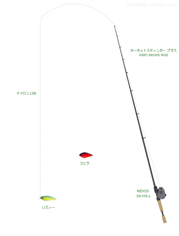 バス釣りに関するタックル、仕掛け図解