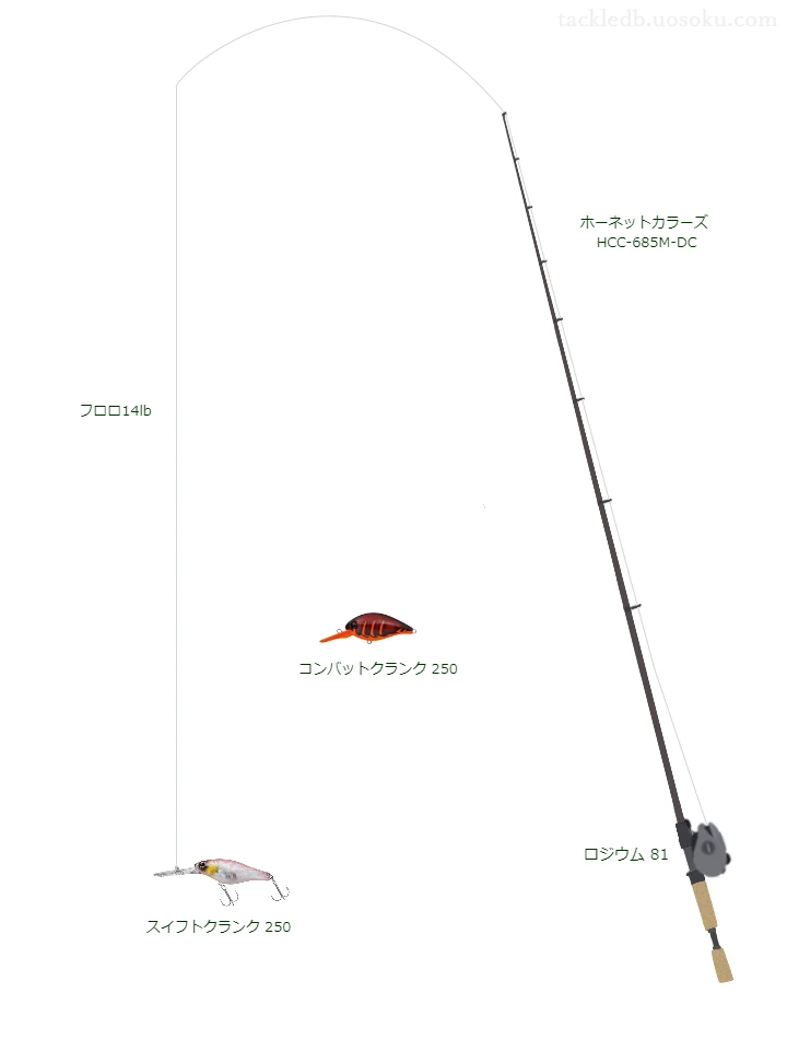 バス釣りに関するタックル、仕掛け図解