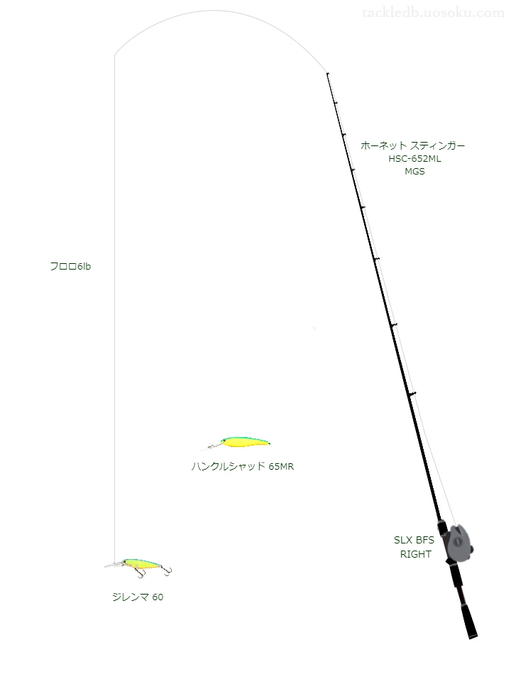 バス釣りに関するタックル、仕掛け図解