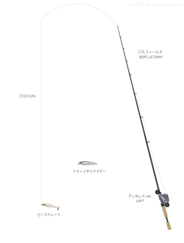 バス釣りに関するタックル、仕掛け図解