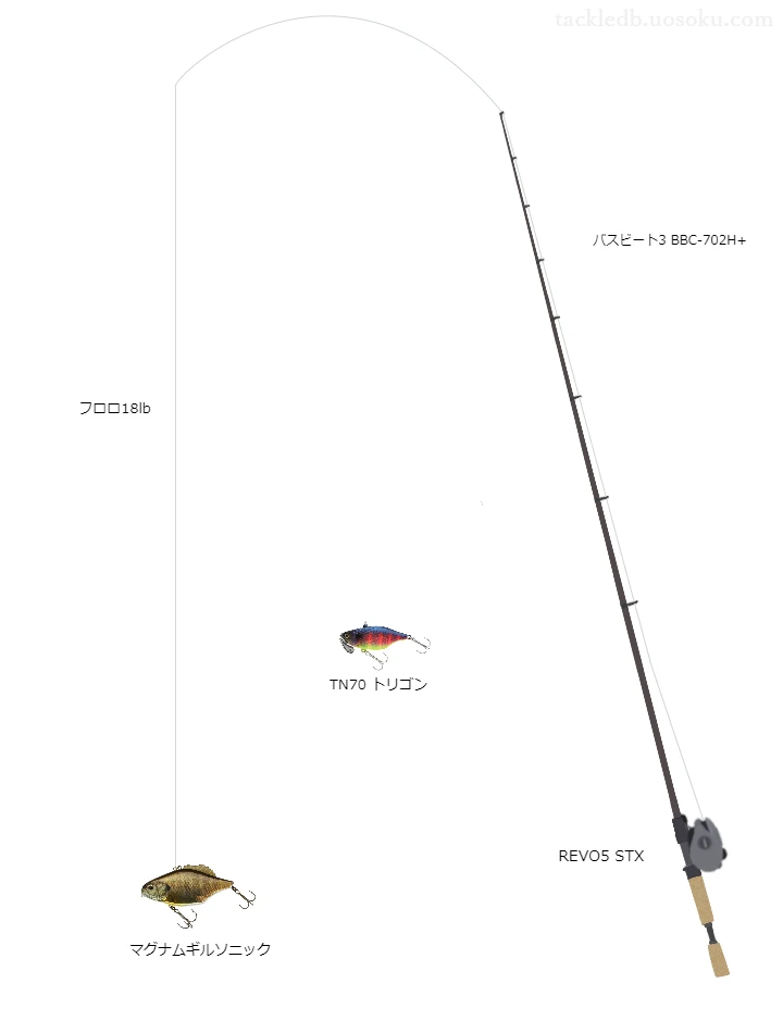 バス釣りに関するタックル、仕掛け図解