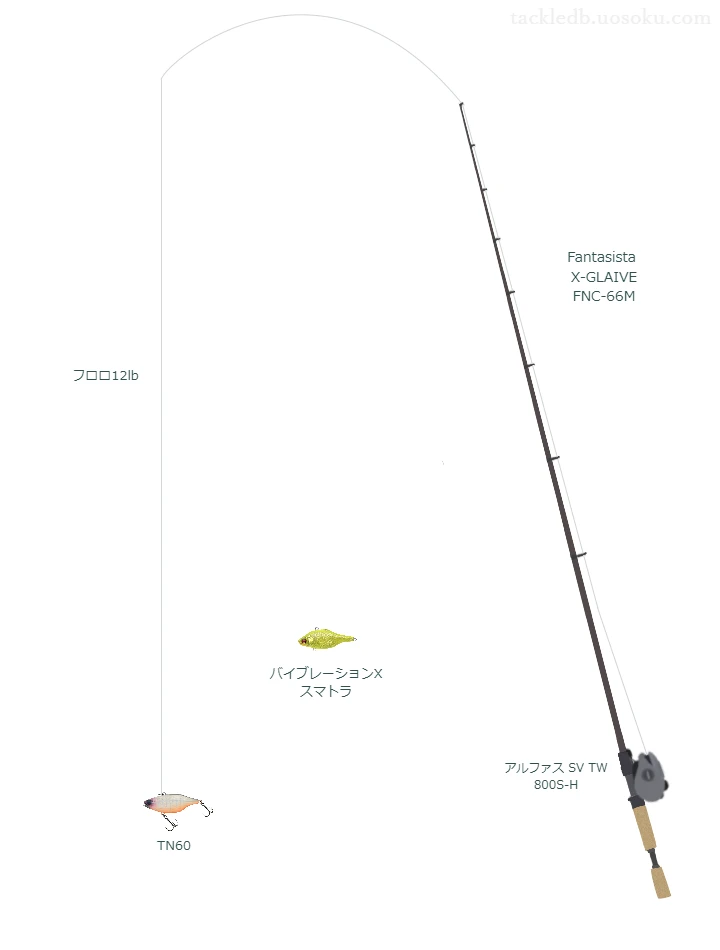 バス釣りに関するタックル、仕掛け図解