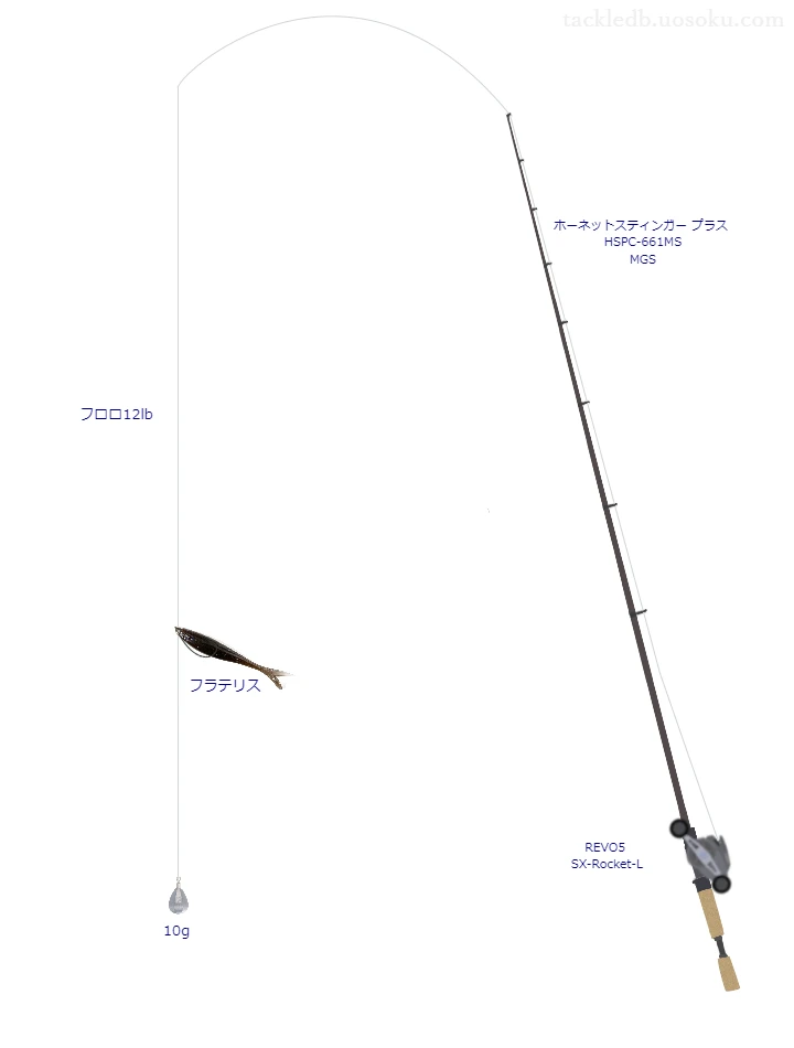 バス釣りに関するタックル、仕掛け図解