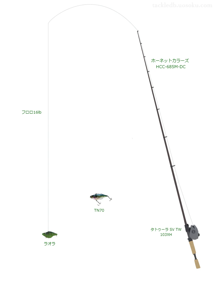 バス釣りに関するタックル、仕掛け図解