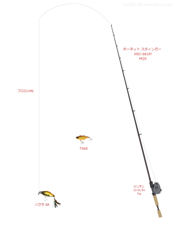 バス釣りに関するタックル、仕掛け図解