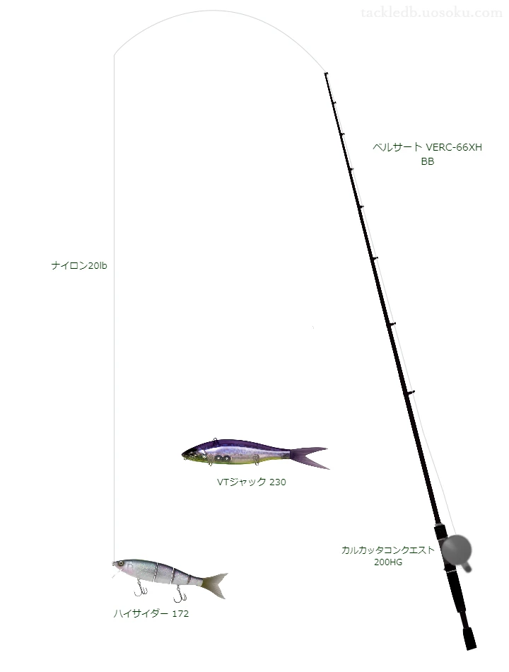 バス釣りに関するタックル、仕掛け図解