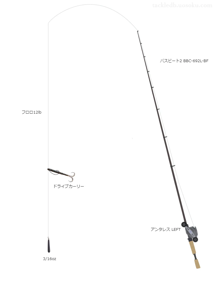 ドライブカーリーダウンショットリグのためのベイトタックル。アブガルシアのロッドとシマノのリール