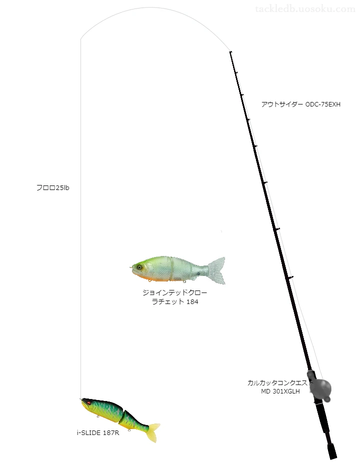 バス釣りに関するタックル、仕掛け図解