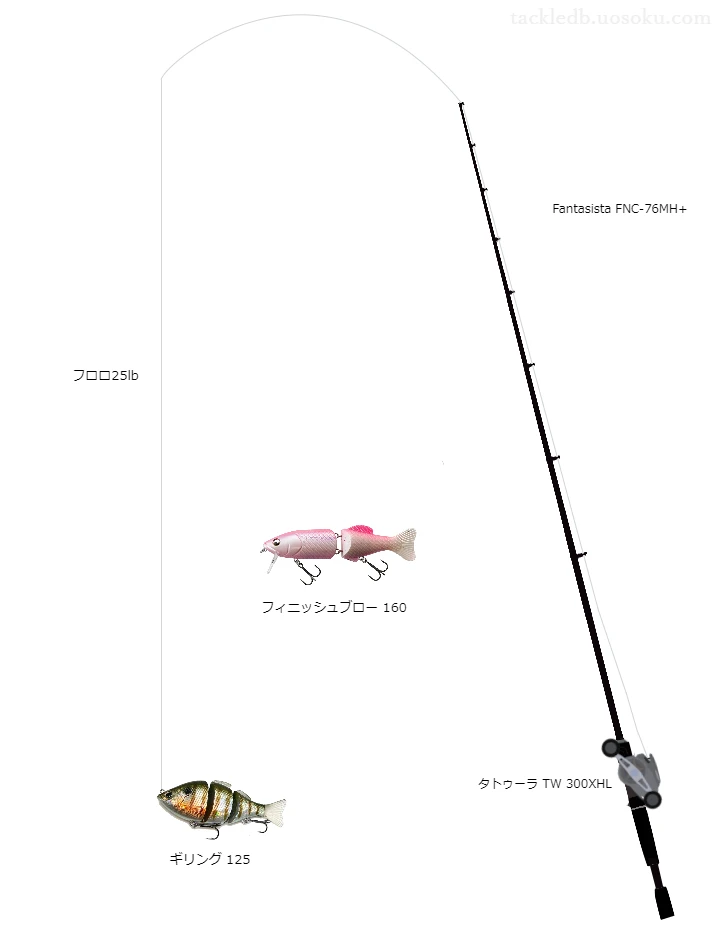 バス釣りに関するタックル、仕掛け図解