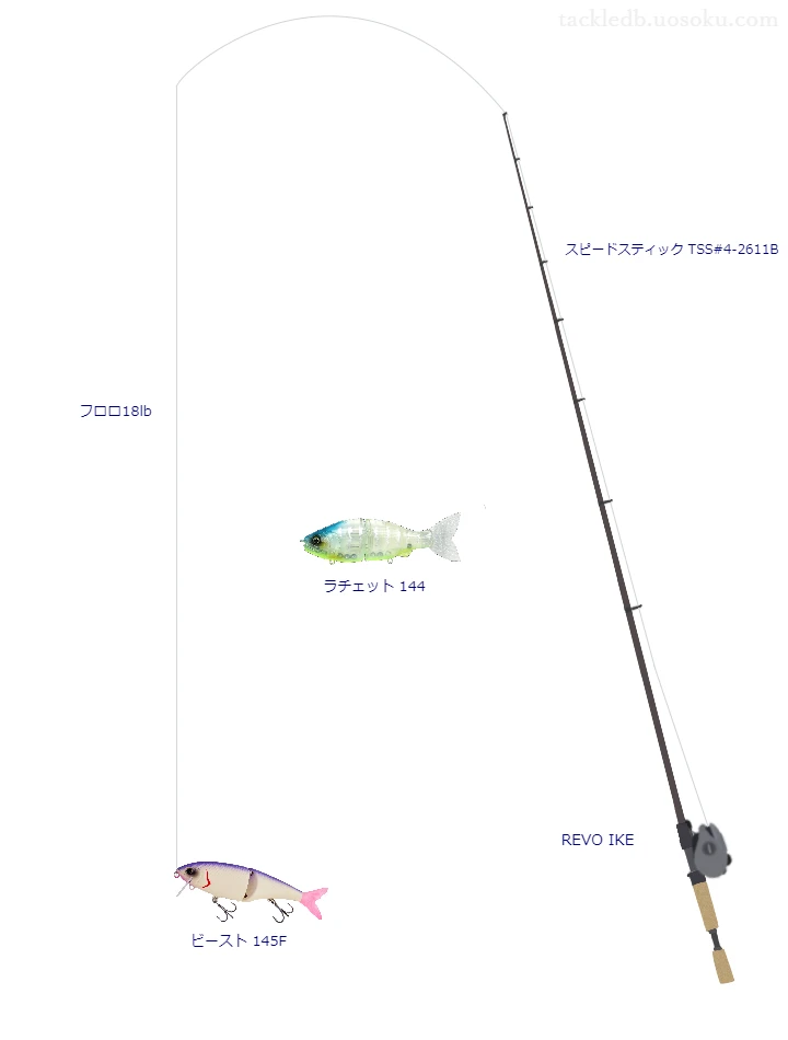 バス釣りに関するタックル、仕掛け図解