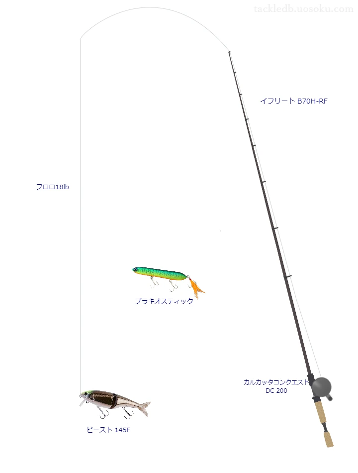 バス釣りに関するタックル、仕掛け図解