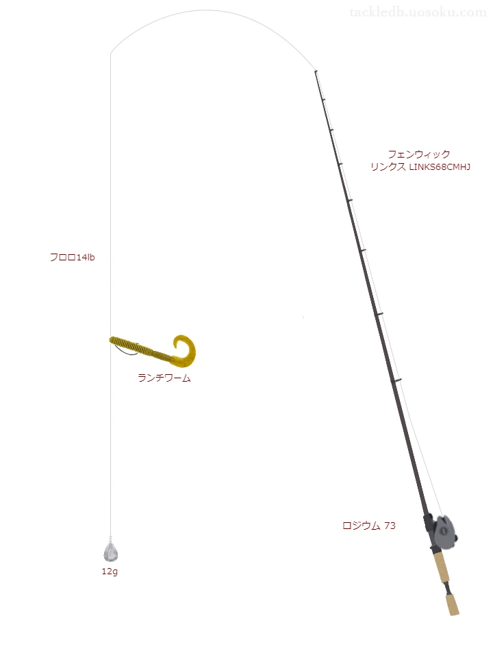 フェンウィック リンクス LINKS68CMHJとワームによるバス釣りタックル【Vインプレ】