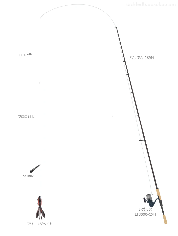 バンタム 269Mとレガリス LT3000-CXHの調和によるバス釣りタックル【仮想インプレ】