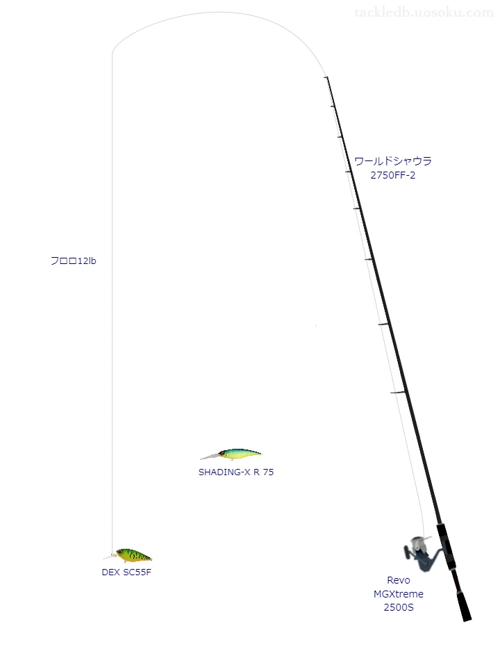 バス釣りに関するタックル、仕掛け図解