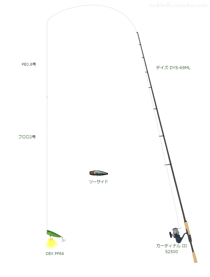 デイズ DYS-69MLとカーディナル III S2500,DEX PP66によるバス釣りタックル【仮想インプレ】