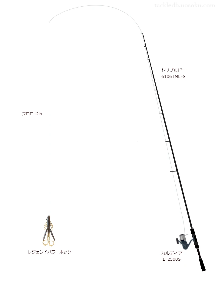 バス釣りに関するタックル、仕掛け図解