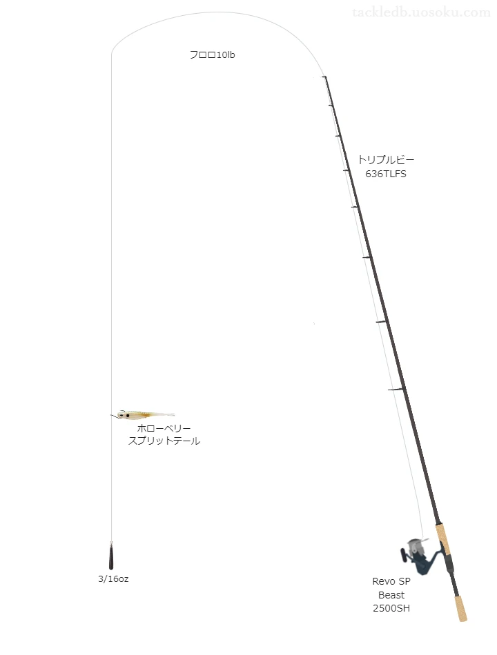 バス釣りに関するタックル、仕掛け図解