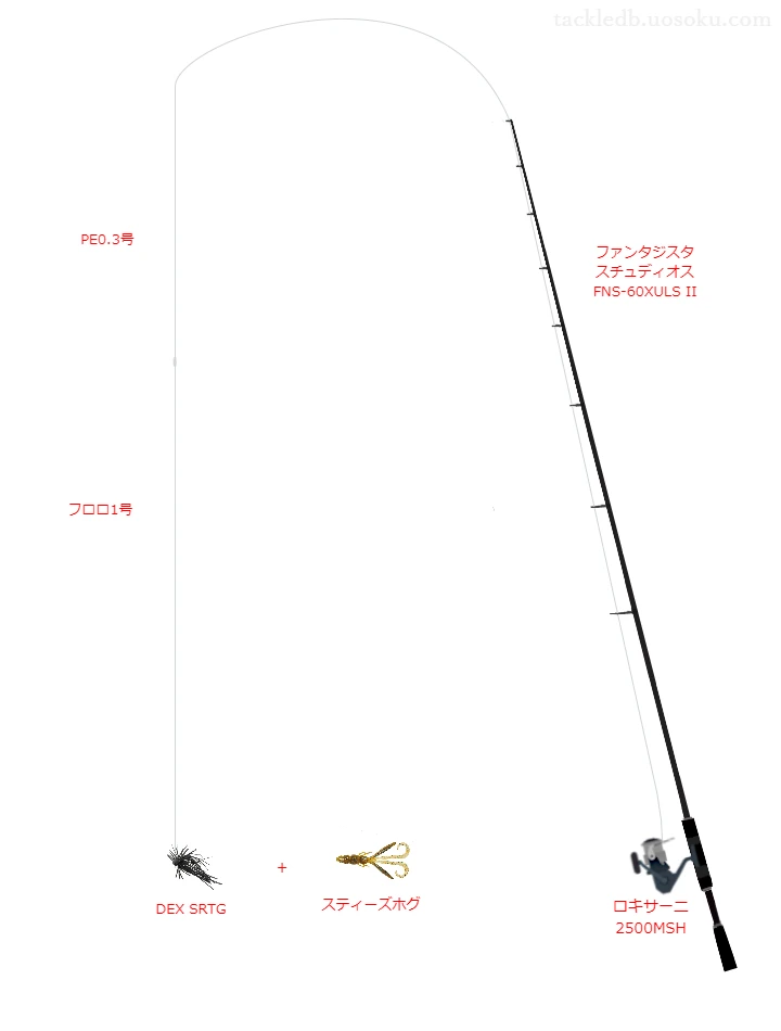 【五辺の池】DEX SRTGのためのバス釣りタックル【ファンタジスタ スチュディオス FNS-60XULS II】