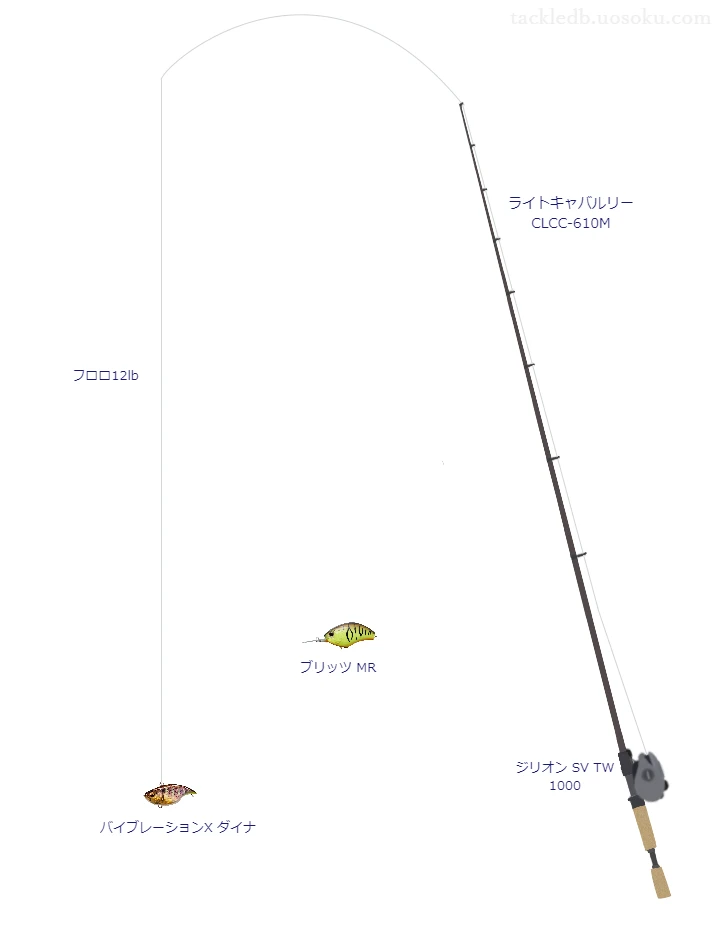 バス釣りに関するタックル、仕掛け図解