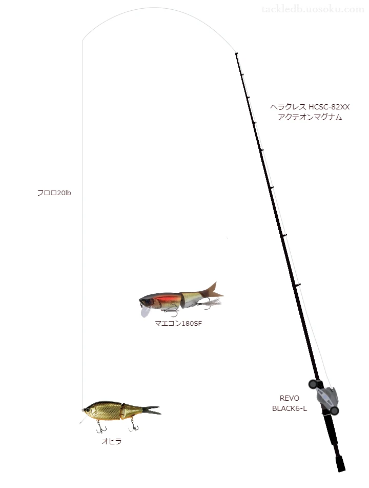 バス釣りに関するタックル、仕掛け図解