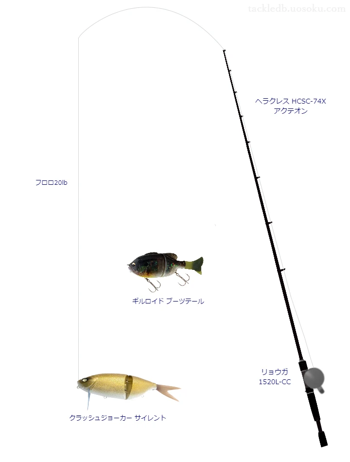 バス釣りに関するタックル、仕掛け図解