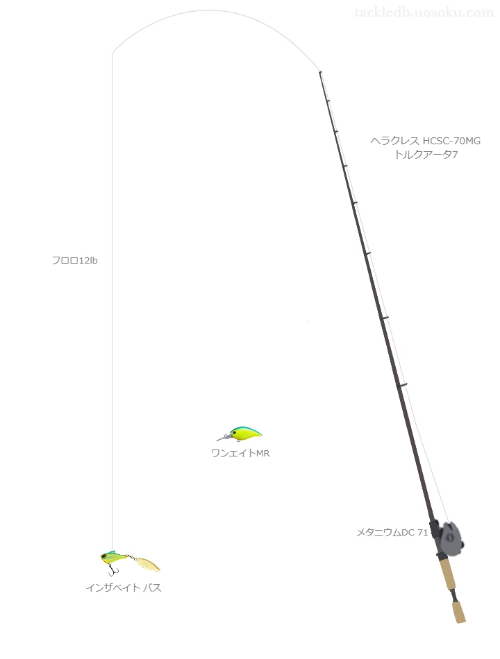 バス釣りに関するタックル、仕掛け図解