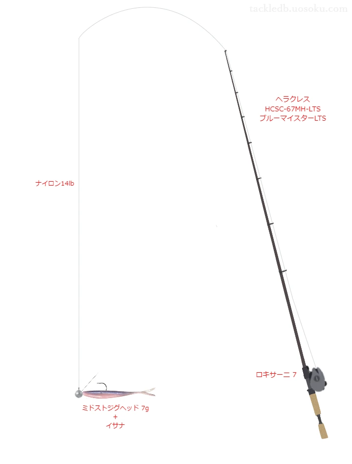 イサナジグヘッドリグのためのベイトタックル。エバーグリーンのロッドとアブガルシアのリール