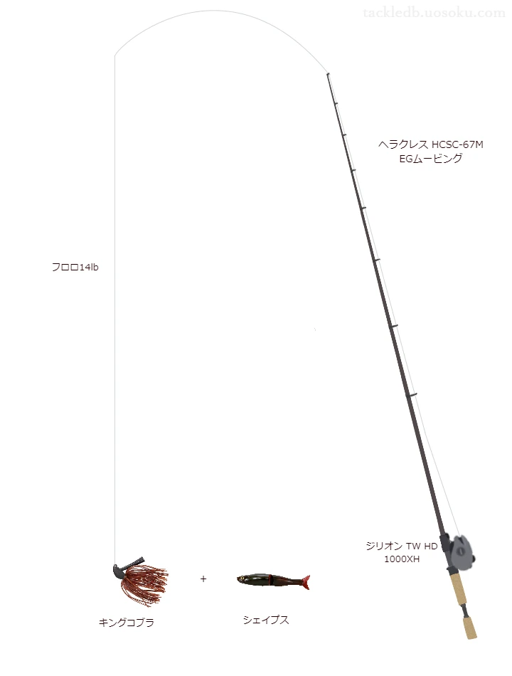 バス釣りに関するタックル、仕掛け図解