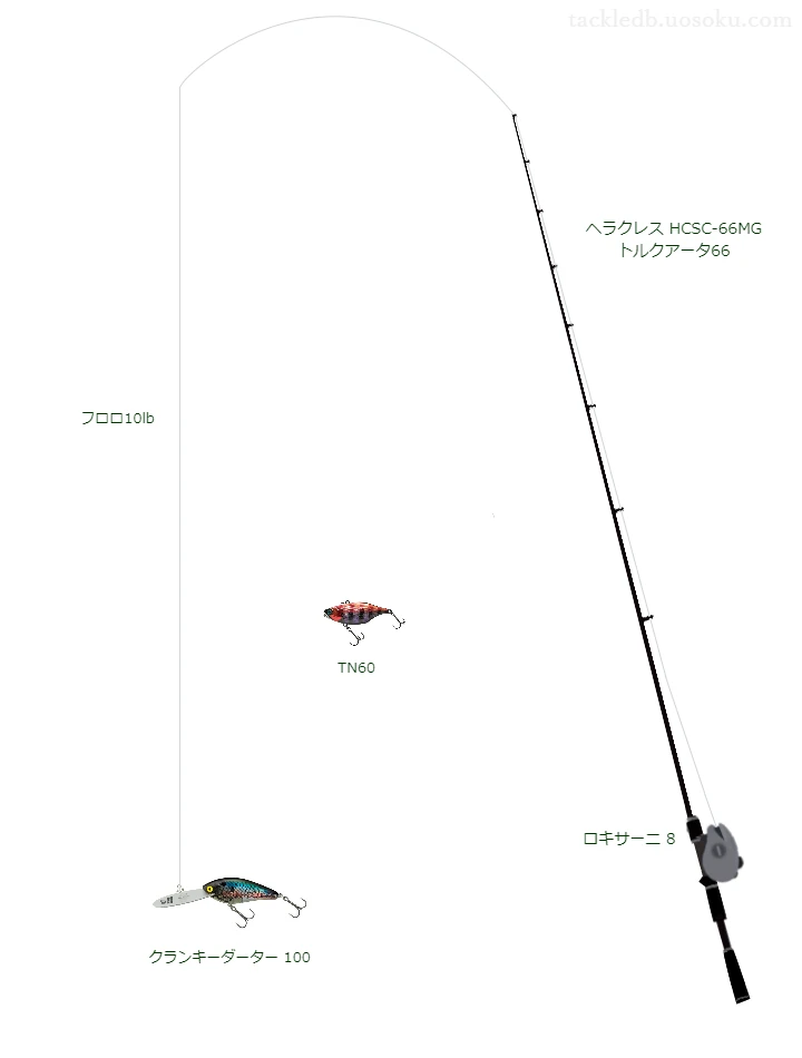 バス釣りに関するタックル、仕掛け図解