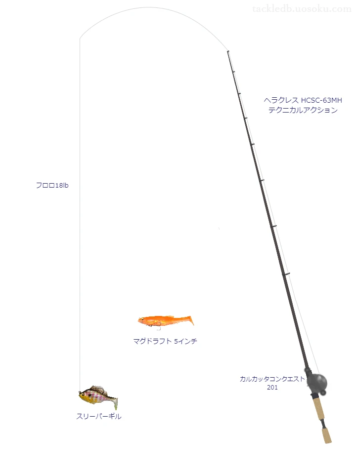 バス釣りに関するタックル、仕掛け図解