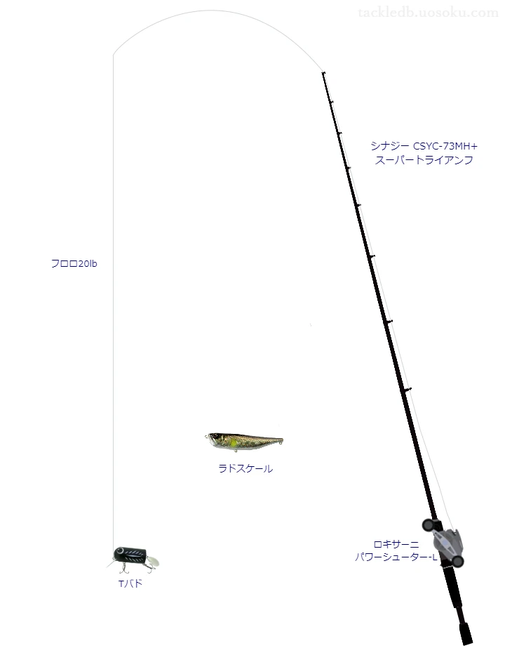 エバーグリーンのシナジー CSYC-73MH+ スーパートライアンフを使用したバス釣りタックル【仮想インプレ】