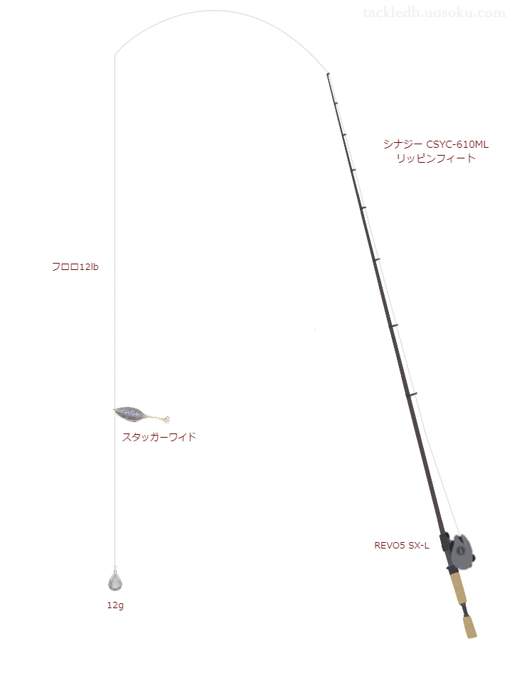 バス釣りに関するタックル、仕掛け図解