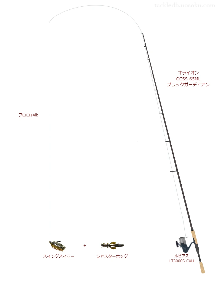 バス釣りに関するタックル、仕掛け図解