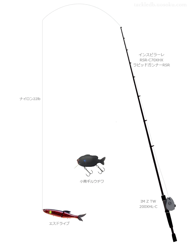 バス釣りに関するタックル、仕掛け図解