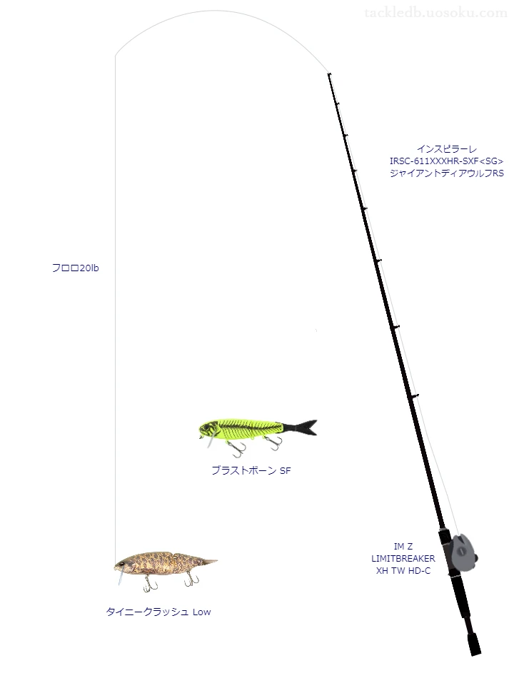 バス釣りに関するタックル、仕掛け図解