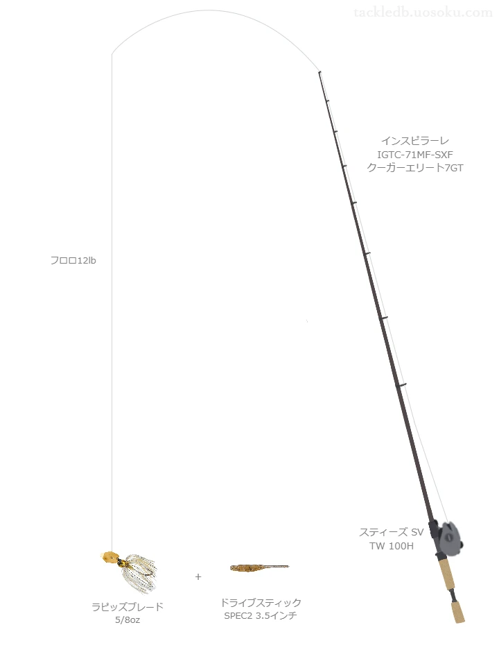 バス釣りに関するタックル、仕掛け図解