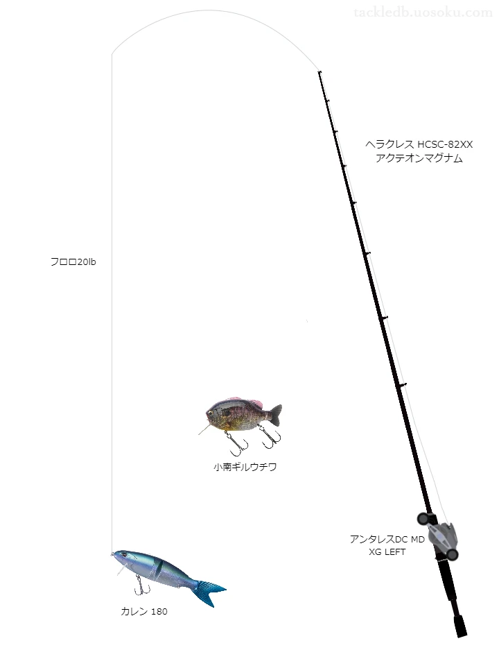 バス釣りに関するタックル、仕掛け図解