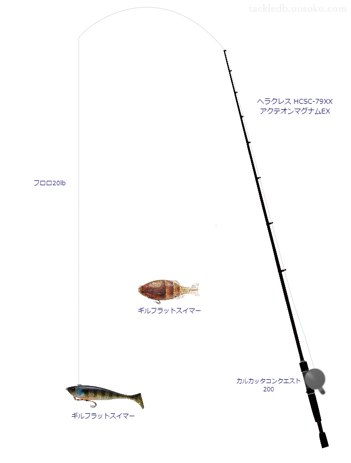 バス釣りに関するタックル、仕掛け図解