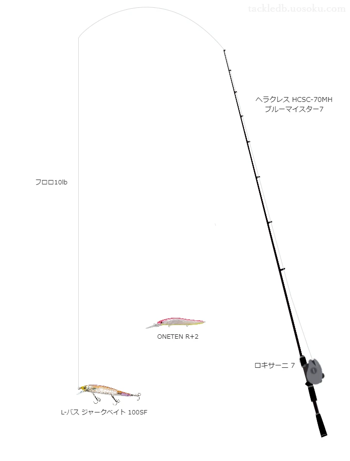 バス釣りに関するタックル、仕掛け図解