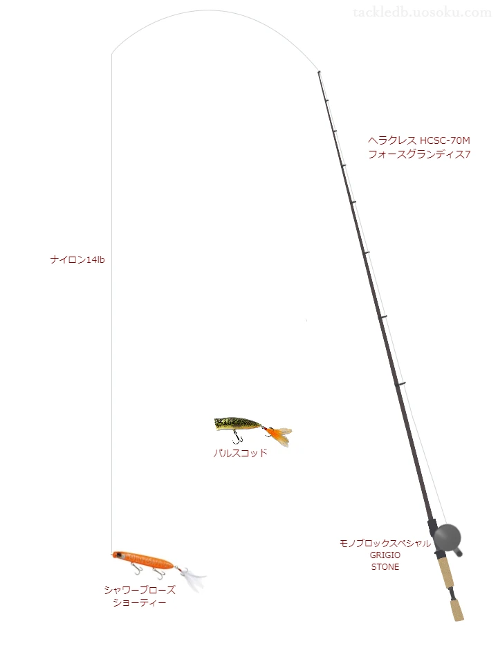 バス釣りに関するタックル、仕掛け図解